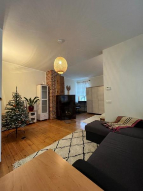 Cozy flat with fireplace, Tallinn